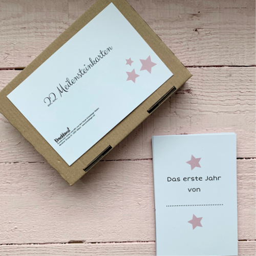 22 Baby Meilenstein-Karten in rosa/grau